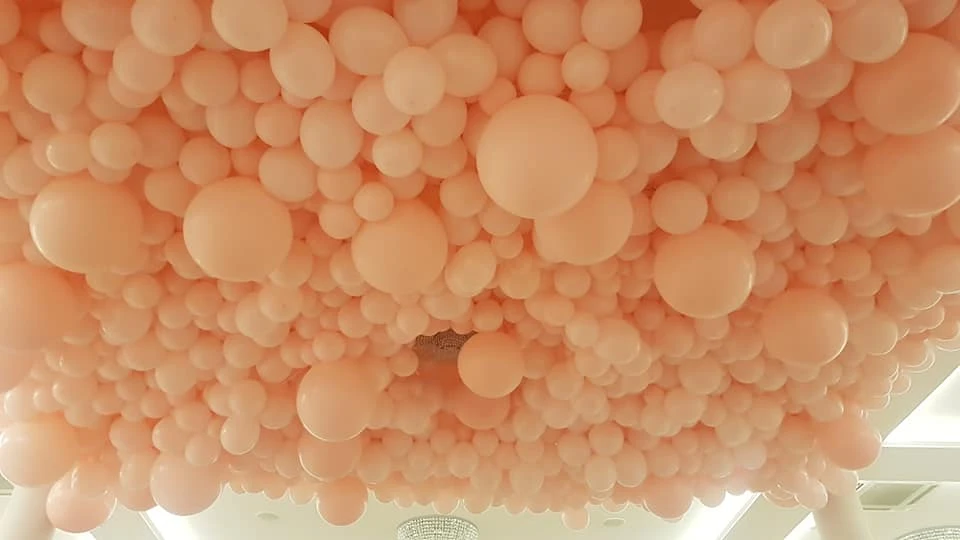 475814878_8882627011863364_8432457540232726743_n
